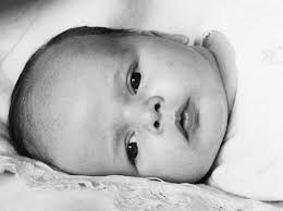 Reborn Babies In Bloom added a...