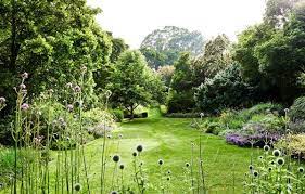 A Spectacular Riverside Garden In Melbourne Urban Garden Most Beautiful Gardens Garden