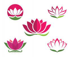 Lotus Flowers Design Logo Template Icon Premium Vector Lotus Flower Logo Flower Logo Design Lotus Flower Art