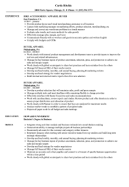 apparel buyer resume samples velvet jobs