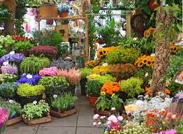 Norton's florist, your local birmingham florist. Florist Kids Britannica Kids Homework Help