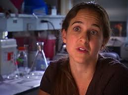 National Geographic Explorer" Testosterone Factor (TV Episode 2008)