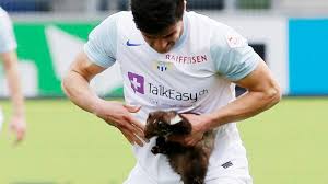 Accessori e mangimi per animali, blog di animali Spiel Mit Biss Marder Beisst Kicker In Finger B Z Berlin