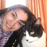 Assisting the Traumatized Soul: Healing the Wounded Talisman by Phyllis  Peterson