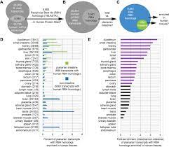 The hpar package is an r interface. Cell Type Diversity And Regionalized Gene Expression In The Planarian Intestine Elife