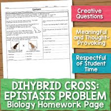 A male rabbit with the genotype ggbb is crossed with a female rabbit with the genotype ggbb the square is set up below. Dihybrid Punnett Squares 1 Worksheets Teaching Resources Tpt