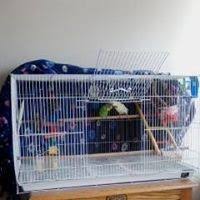 Polyethylene glycol is an osmotic laxative that causes a bulking effect in the colon by retaining water in the stomach. What Happens If You Take Expired Laxatives Quora