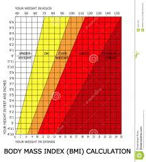 Body Mass Index Bmi Calculator Stock Illustration