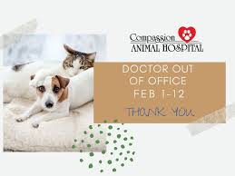 Maybe you would like to learn more about one of these? Pet Dentistry Woodland Park Co Compassion Animal Hospital