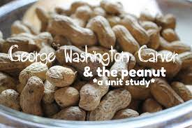 George Washington Carver The Peanut A Unit Study George Washington Carver Washington Carver Study Unit