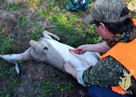 How To Field Dress A Deer With Images Field Dressing A Deer Field Dressing