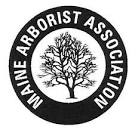 Image result for maine arborist association logo
