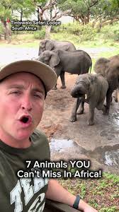 Alligator Bubbles: What Do They Look Like Underwater?