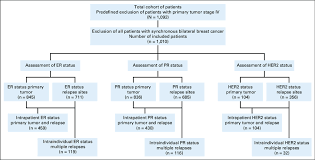 flow chart of the cohort with assessment of estrogen