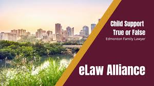 Areas of legal specialty include real estate, personal injury, family law, estate law and common law. Edmonton Family Lawyer Child Support True Or False Youtube