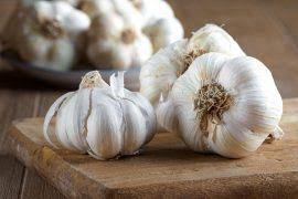 Image result for Poecilostachys