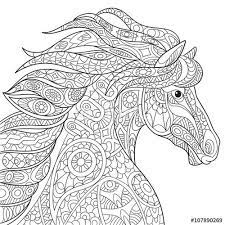 New horse lovers adult coloring book, adult coloring pages, hand drawn horse art, equine art pages, horse lover gift, just released. Horse Mandala