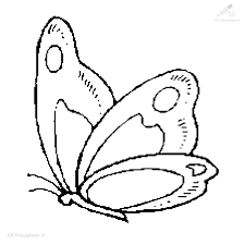 1001 Kleurplaten Dieren Vlinder Kleurplaat Vlinder Vlinder Sjabloon Kleurboek Vlinder Tekening