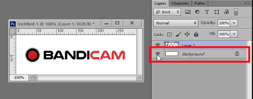 Logo Overlay Add An Image Watermark To The Video Bandicam