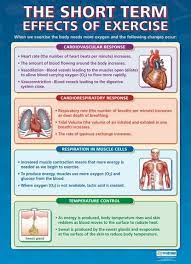The Short Term Effects Of Exercise Poster Health And Physical Education Exercise Gcse Pe