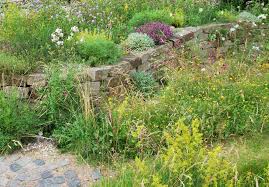 Weitere ideen zu naturgarten, garten, natur. Naturgarten Biotop