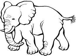 Kumpulan gambar hewan untuk anak anak tk paud belajar mewarnai. Baby Zoo Animals Coloring Pages Sketsa Sketsa Hewan Menggambar Gajah