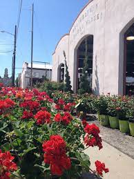 Weatherford Farmers Market Lawn And Garden Weatherford Texas The Great Outdoors