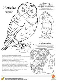 Page 24 Sur 24 Sur Hugolescargot Com Oiseau Coloriage Coloriage Chouette Coloriage