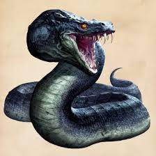 Basilisk Harry Potter Wiki Fandom Powered By Wikia Harry Potter Beasts Harry Potter Creatures Basilisk Harry Potter