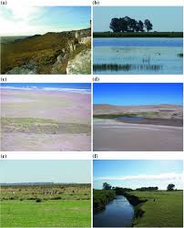 Find information on pampas argentina, pampas gauchos in their romanticized lives and the argentina history behind it all. Modern Bone Distribution In The Pampas Of Argentina Taphonomic Implications For The Regional Archaeological Record Springerlink