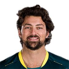 Tim David Profile & Career Stats