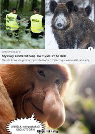Dorota wellman ma bardzo przystojnego syna! Pomylka Komixxy Pl