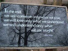 1st Year..... on Pinterest | High School English, Classroom and ... via Relatably.com