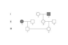 what is the probability that the child labeled iii 1 would