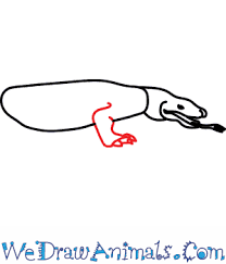 How to draw a dragon's body. How To Draw A Komodo Dragon