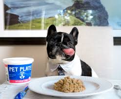 Frenchie is the sixth most popular dog breed according to american kennel club. Best Diet For French Bulldogs Why Choose Pet Plate Petplate