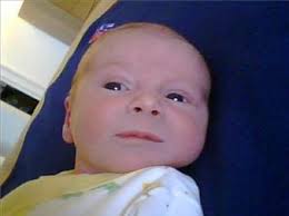 Donald Whitmore Obituary (2005)