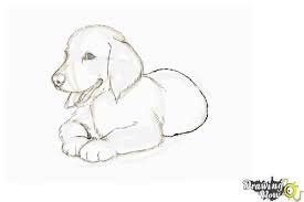 Wie Zeichnet Man Ein Golden Retriever Puppy Golden Retriever Bilder Sind Sehr Suss Tun Bilder Ein Golden Man Pu Dieren Tekenen Hond Tekeningen Tekenen
