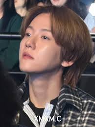 Chen Ruolin Live Stream