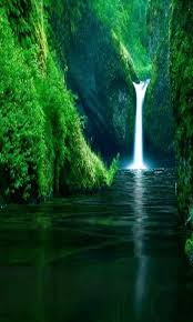 Wallpapers can be downloaded by android, apple iphone, samsung, nokia, sony, motorola, htc, micromax, huawei, lg, blackberry and other mobile phones. Free Download Of Wallpaper For Android Phone