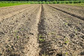 التربة الزراعية in 2020 farmland country roads soil