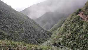 From classical 末茶 (mòchá), influenced by japanese. Fwdh3efk2cxogm