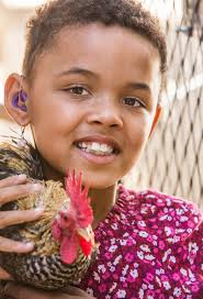 Early Learning and Kindergarten Guidelines