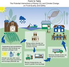 Time spent providing kids with engaging environmental experiences can have lasting impact. Climate Impacts On Human Health Climate Change Impacts Us Epa