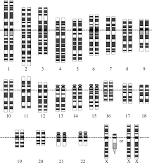 Mit Technology Review Human Genome Dna And Genes Genome