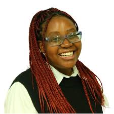 Duduzane Ncube — House & Home loans