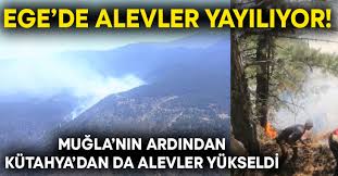 Türkiye'nin dört bir yanında peş peşe yangın haberleri geliyor. V9taqcsf Ukkgm