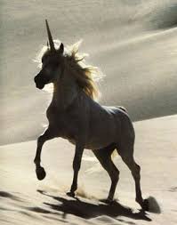 Always Be Yourself Unless You Can Be A Unicorn Meaning Always Be Yourself Unless You Can Be A Unicorn Then Always Be A Unicorn Unicorn Pictures Unicorn And Fairies Mythical Creatures