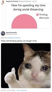 Thumbs Up Crying Cat Know Your Meme See more ideas about cat memes, funny cats, animal memes. thumbs up crying cat know your meme