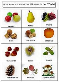 Nous Savons Nommer Des Elements De L Automne Automne Fruits D Automne Bricolage Automne